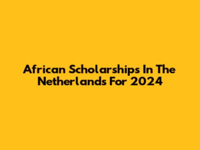 African Scholarships In The Netherlands For 2024