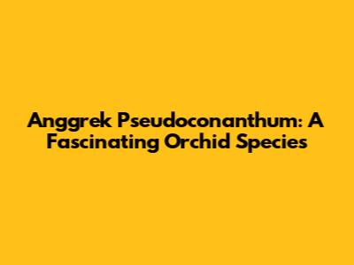 Anggrek Pseudoconanthum: A Fascinating Orchid Species