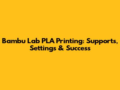 Bambu Lab PLA Printing: Supports, Settings & Success