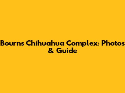 Bourns Chihuahua Complex: Photos & Guide