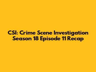 CSI: Crime Scene Investigation Season 18 Episode 11 Recap