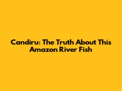 Candiru: The Truth About This Amazon River Fish