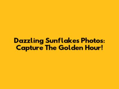 Dazzling Sunflakes Photos: Capture The Golden Hour!