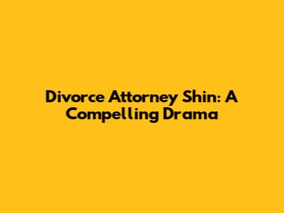 Divorce Attorney Shin: A Compelling Drama
