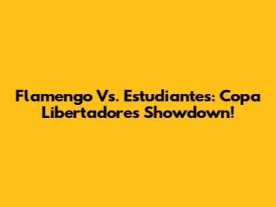 Flamengo Vs. Estudiantes: Copa Libertadores Showdown!