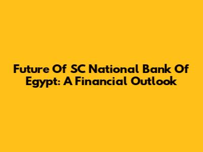 Future Of SC National Bank Of Egypt: A Financial Outlook