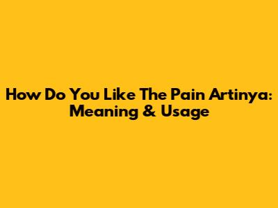 How Do You Like The Pain Artinya: Meaning & Usage