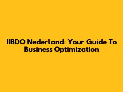 IIBDO Nederland: Your Guide To Business Optimization