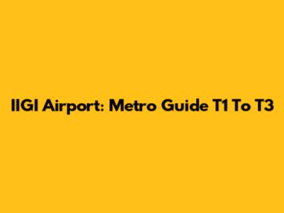 IIGI Airport: Metro Guide T1 To T3