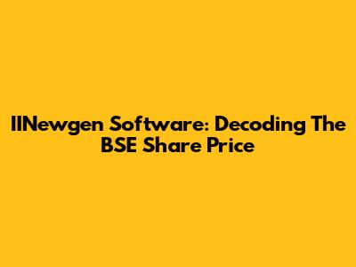 IINewgen Software: Decoding The BSE Share Price