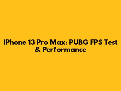 IPhone 13 Pro Max: PUBG FPS Test & Performance