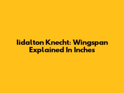 Iidalton Knecht: Wingspan Explained In Inches