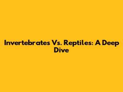 Invertebrates Vs. Reptiles: A Deep Dive