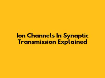 Ion Channels In Synaptic Transmission Explained