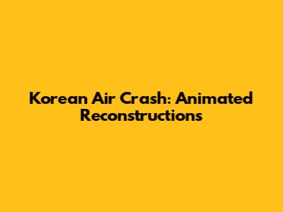 Korean Air Crash: Animated Reconstructions