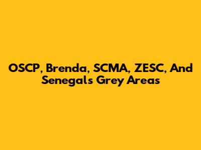 OSCP, Brenda, SCMA, ZESC, And Senegal's Grey Areas