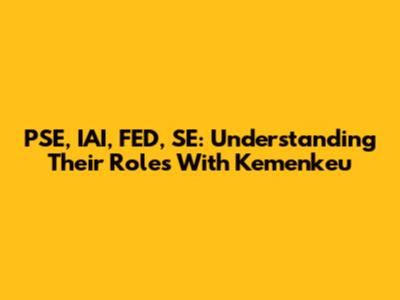 PSE, IAI, FED, SE: Understanding Their Roles With Kemenkeu