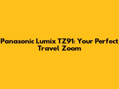 Panasonic Lumix TZ91: Your Perfect Travel Zoom
