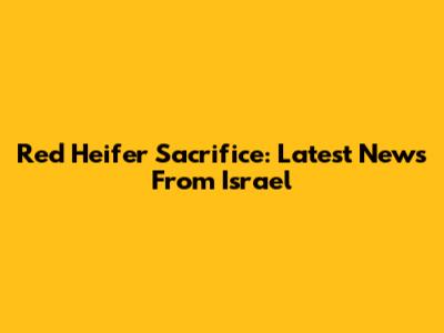 Red Heifer Sacrifice: Latest News From Israel