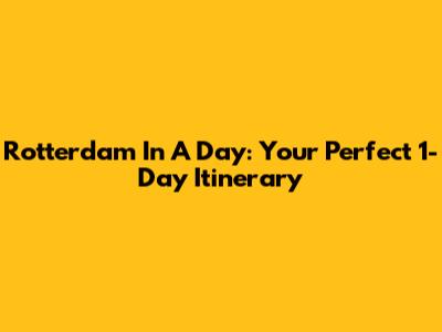 Rotterdam In A Day: Your Perfect 1-Day Itinerary