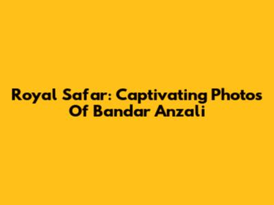 Royal Safar: Captivating Photos Of Bandar Anzali