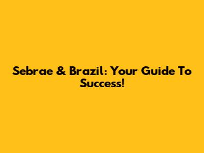 Sebrae & Brazil: Your Guide To Success!