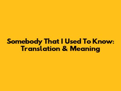 Somebody That I Used To Know: Translation & Meaning