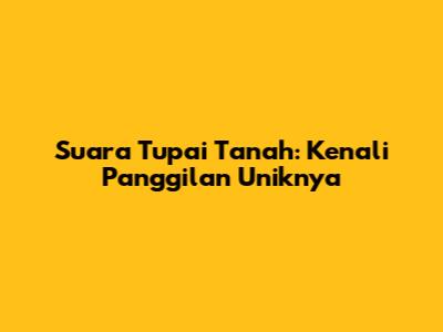 Suara Tupai Tanah: Kenali Panggilan Uniknya
