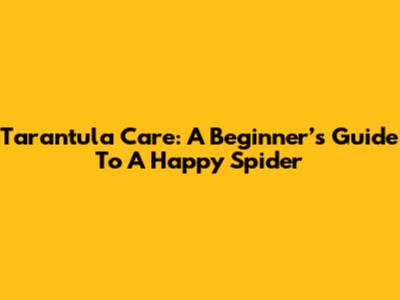 Tarantula Care: A Beginner’s Guide To A Happy Spider