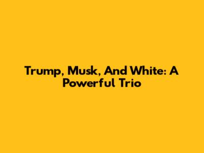 Trump, Musk, And White: A Powerful Trio