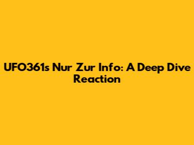 UFO361's "Nur Zur Info": A Deep Dive Reaction