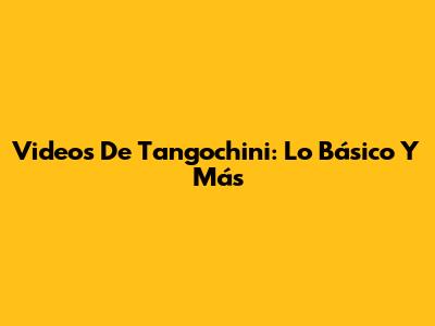 Videos De Tangochini: Lo Básico Y Más